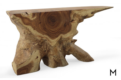 Live Edge Tree Root Console Table