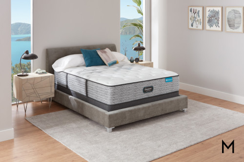 Simmons Harmony Lux Carbon Plush Queen Mattress