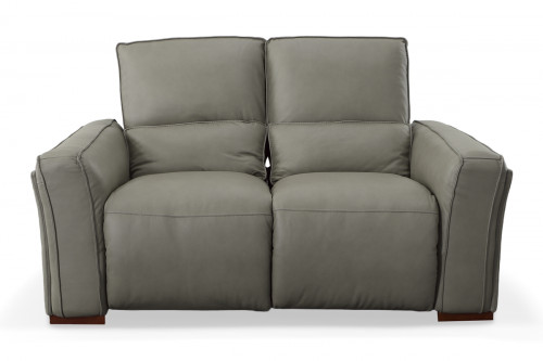 Eugenio Leather Reclining Loveseat with Two Reclining Sections