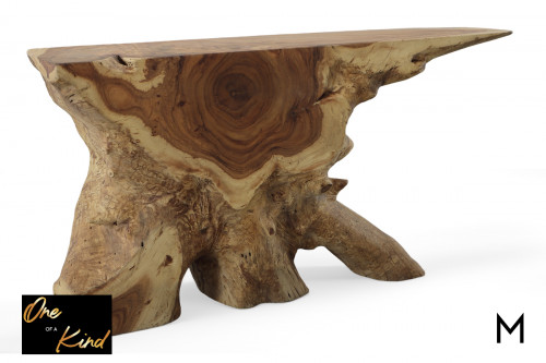 Live Edge Tree Root Console Table