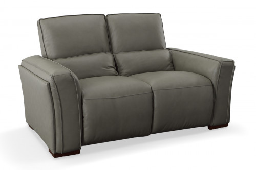 Eugenio Leather Reclining Loveseat with Two Reclining Sections