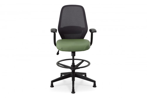 Rhys Ergonomic Office Chair with Adjustable Height and Foot Rest