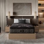 Beautyrest Black Series 2 | Plush Pillowtop - Image 2