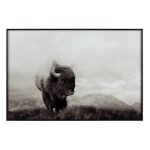 Bison Tempered Glass Landscape Print