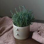 Stoneware Planter with Glaze - Image 3