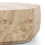 Elena Organic Shaped Coffee Table - Image 7