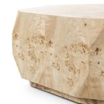 Elena Organic Shaped Coffee Table - Image 10