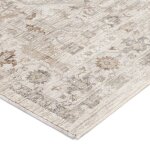 Cyprus Ivory Rug - 7'10" x 10' - Image 4