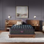 Beautyrest World Class Lvl. 3 | Medium Firm - Image 2