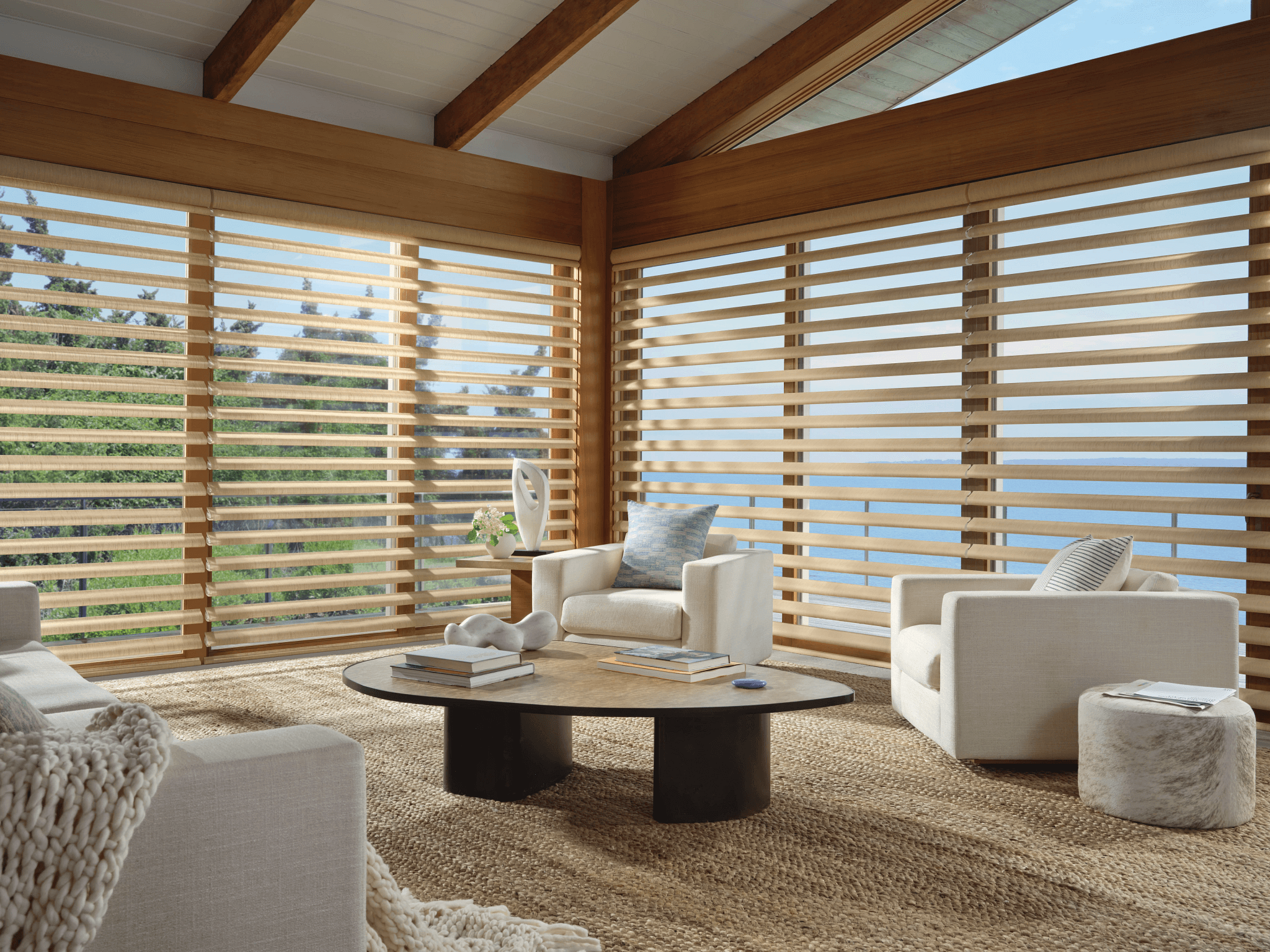 2025_PIR_PV_CV_Wren_Goldfinch_LivingRoom_Open