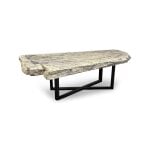 Petrified Wood Coffee Table