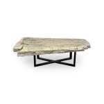 Petrified Wood Coffee Table - Image 2