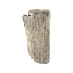 Petrified Wood Coffee Table - Image 4