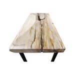 Petrified White Wood Console Table - Image 3
