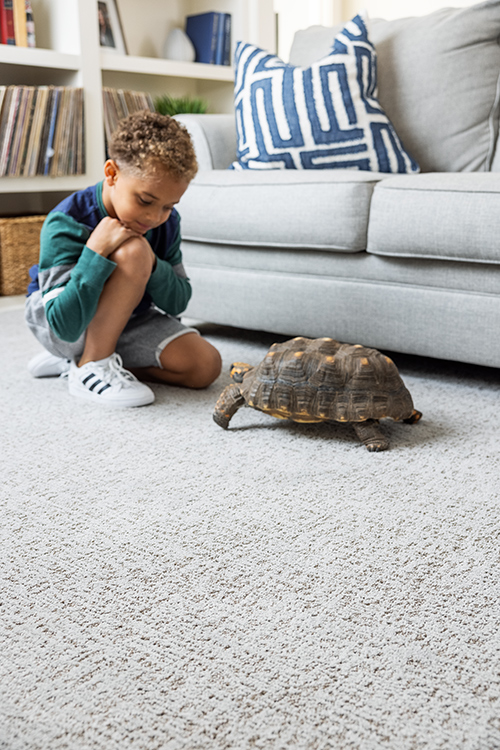 Young kid with pet turtle on stain resistant carpet.