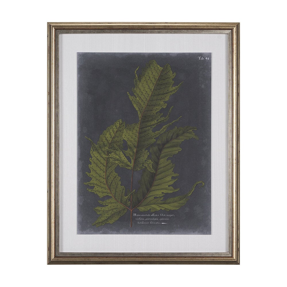 0004540_10132_A Foliage Dramatique | Hand-Embellished Framed Art Print - Image 1