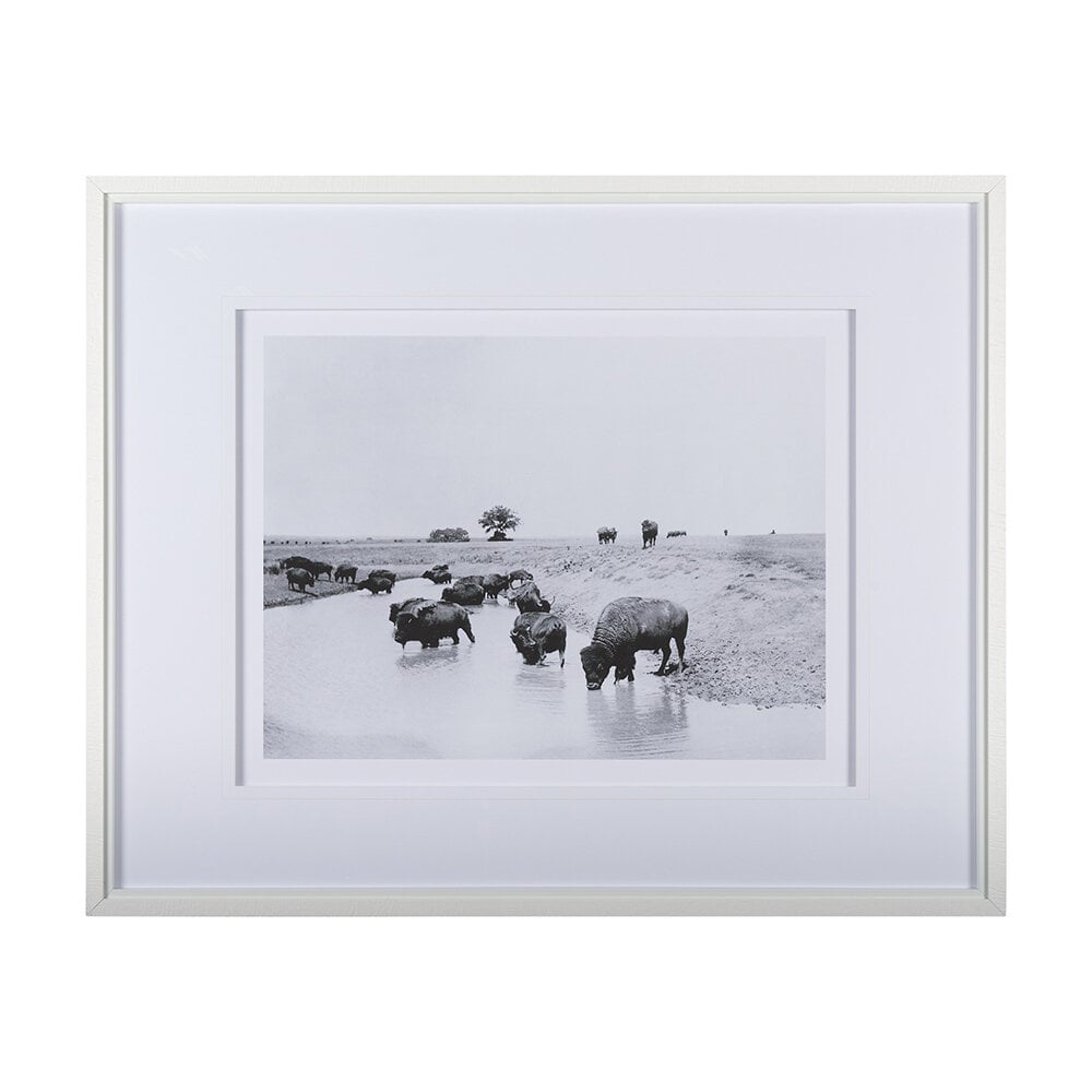 0080259_14940_A Buffalo Brook | Framed Art Photograph - Image 1